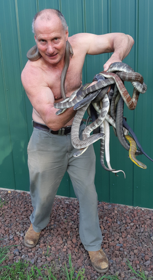snake charmer Melbourne